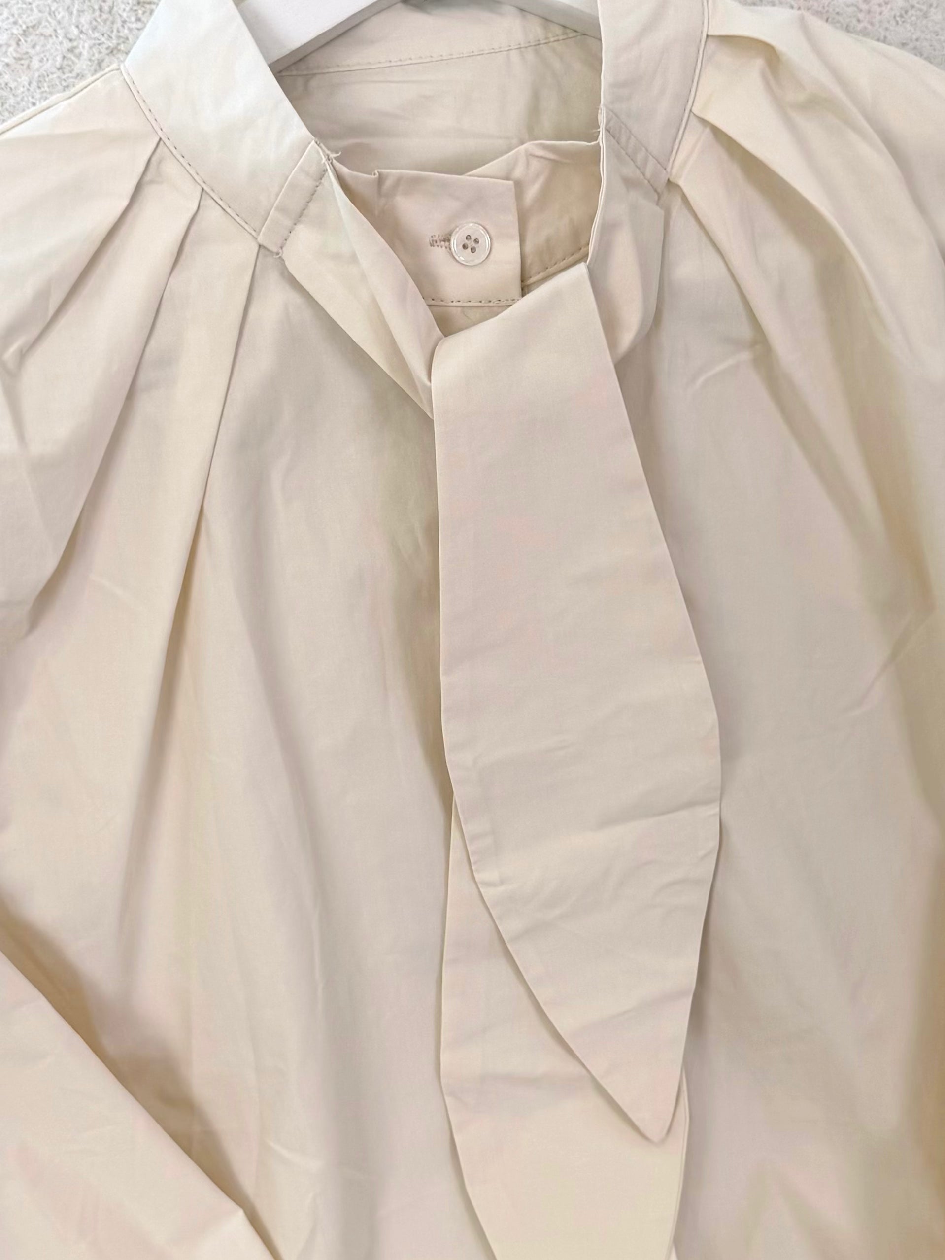 Tie-Neck Long Sleeve Blouse